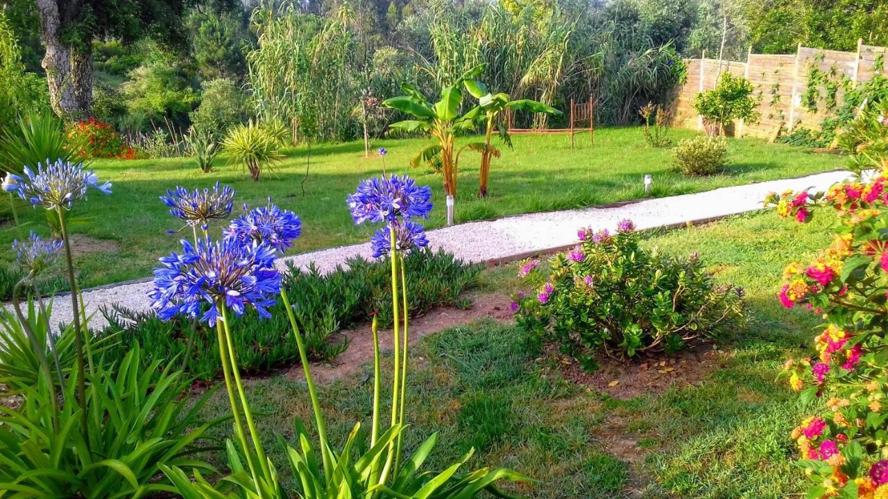 Casa Do Sobreiro 2 Bed & Breakfast Serra das Alhadas Eksteriør bilde