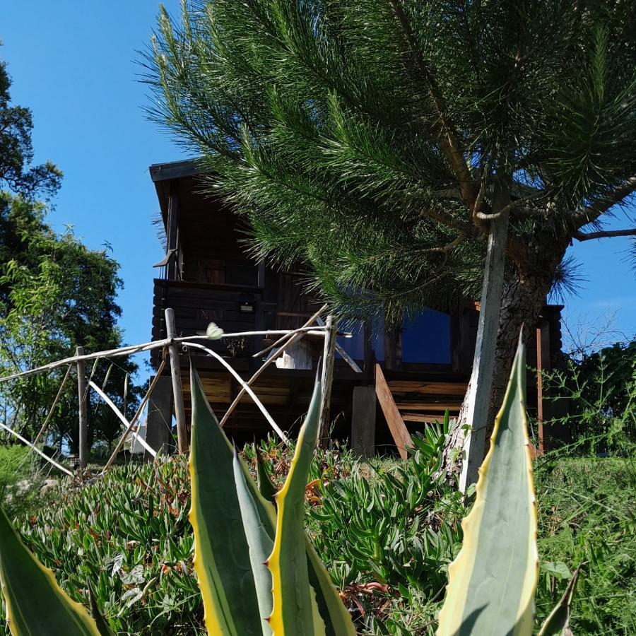 Casa Do Sobreiro 2 Bed & Breakfast Serra das Alhadas Eksteriør bilde