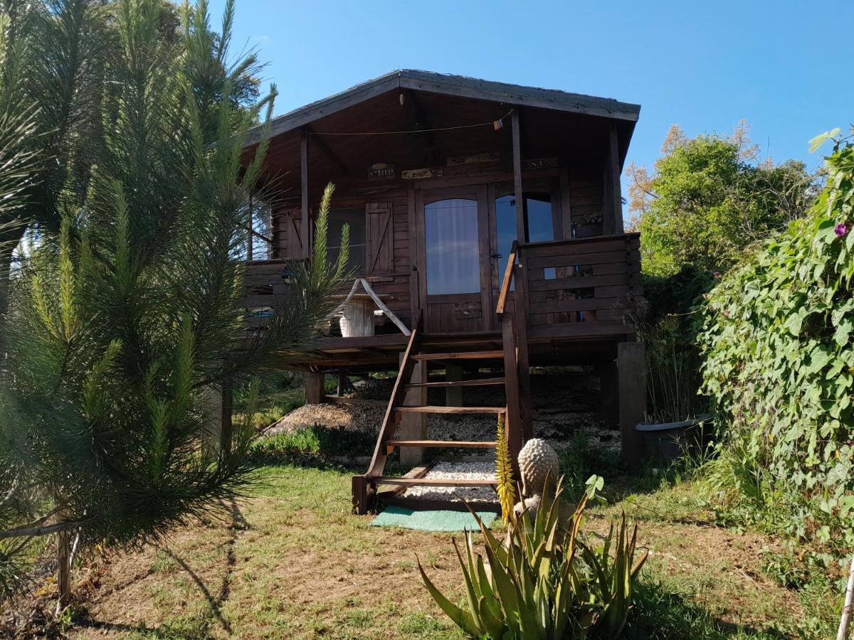 Casa Do Sobreiro 2 Bed & Breakfast Serra das Alhadas Eksteriør bilde