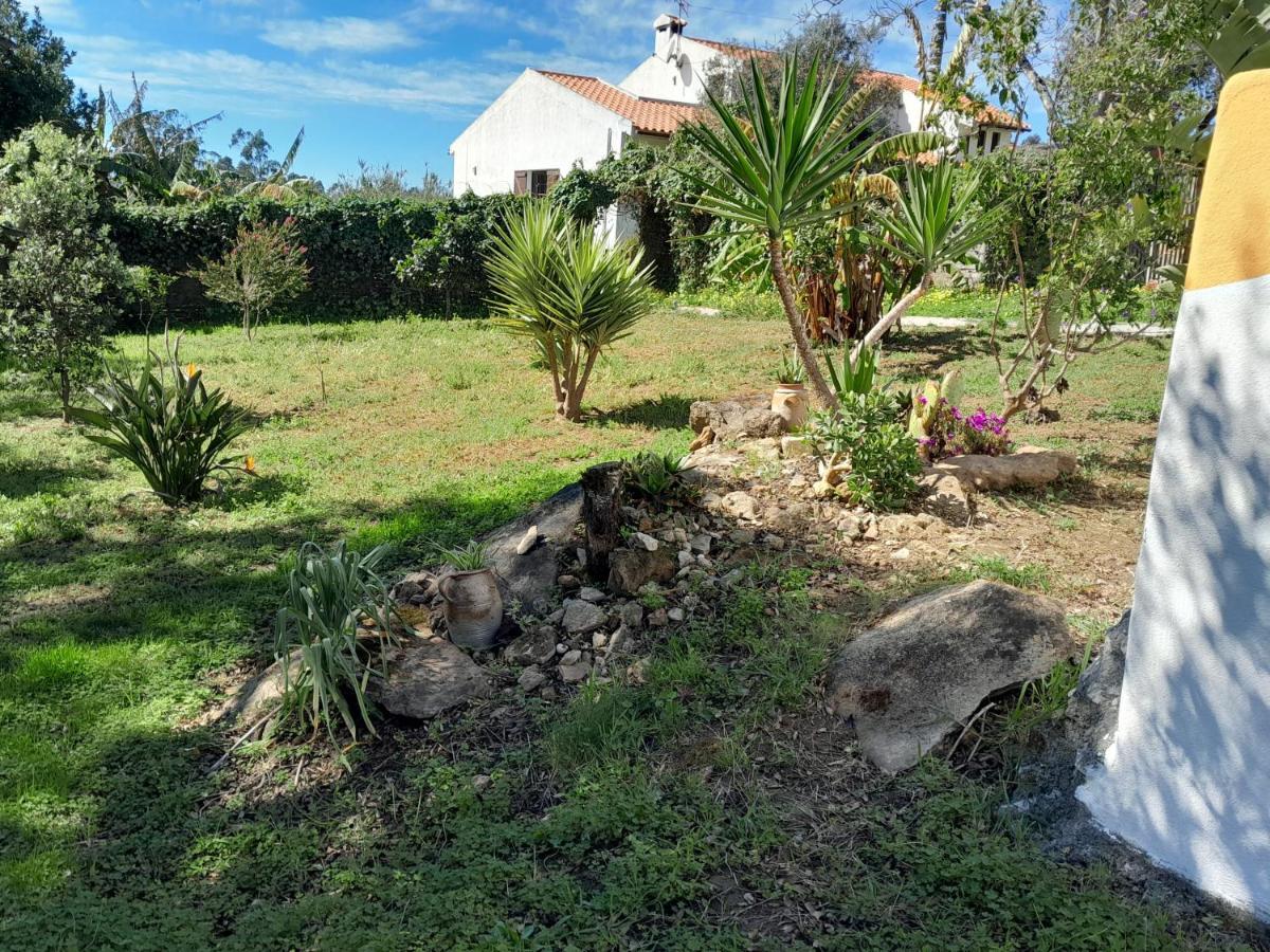 Casa Do Sobreiro 2 Bed & Breakfast Serra das Alhadas Eksteriør bilde