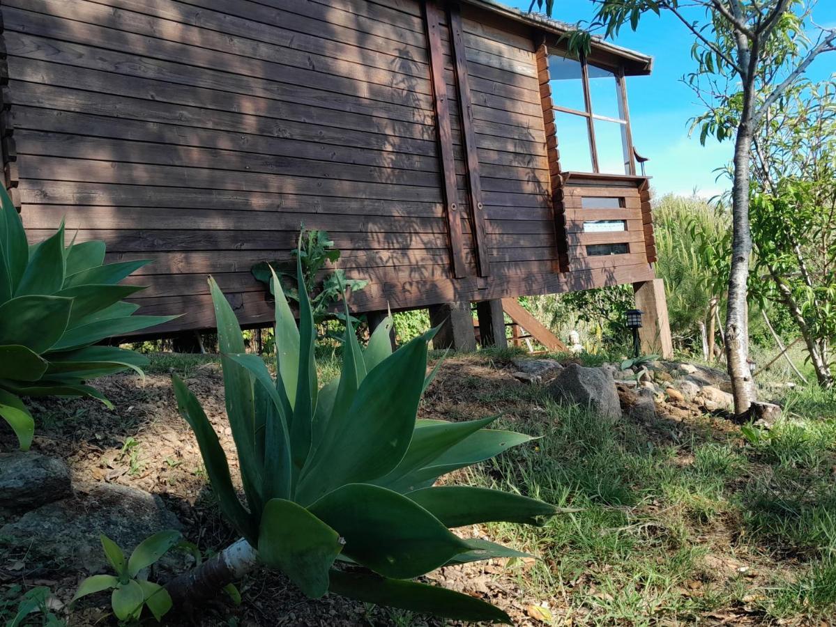 Casa Do Sobreiro 2 Bed & Breakfast Serra das Alhadas Eksteriør bilde